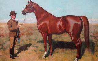 George Gascoyne - Victorian Horse Portrait - Pheonix- Richard Taylor Fine Art  (1)