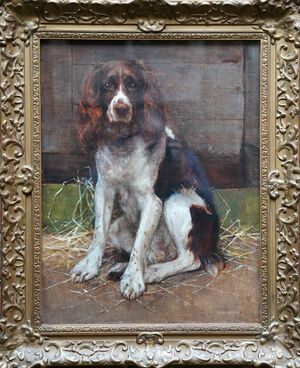 Sam Fulton - English Springer Spaniel - Richard Taylor Fine Art