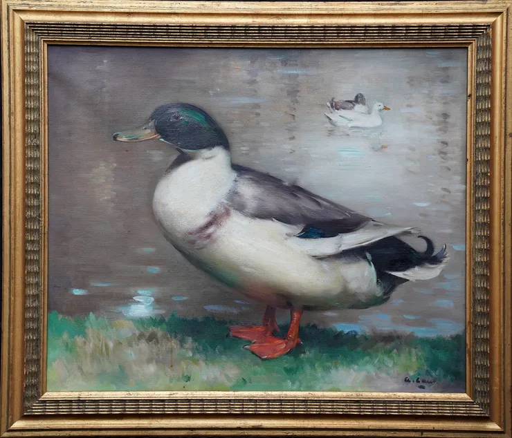 Scottish Mallard Duck Portrait by Andrew Law at Richard Taylor Fine Art