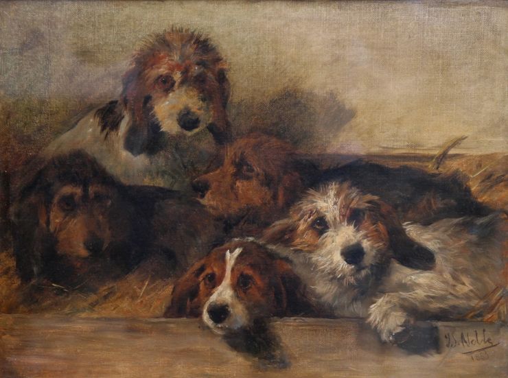 john sargent noble - dog portrait