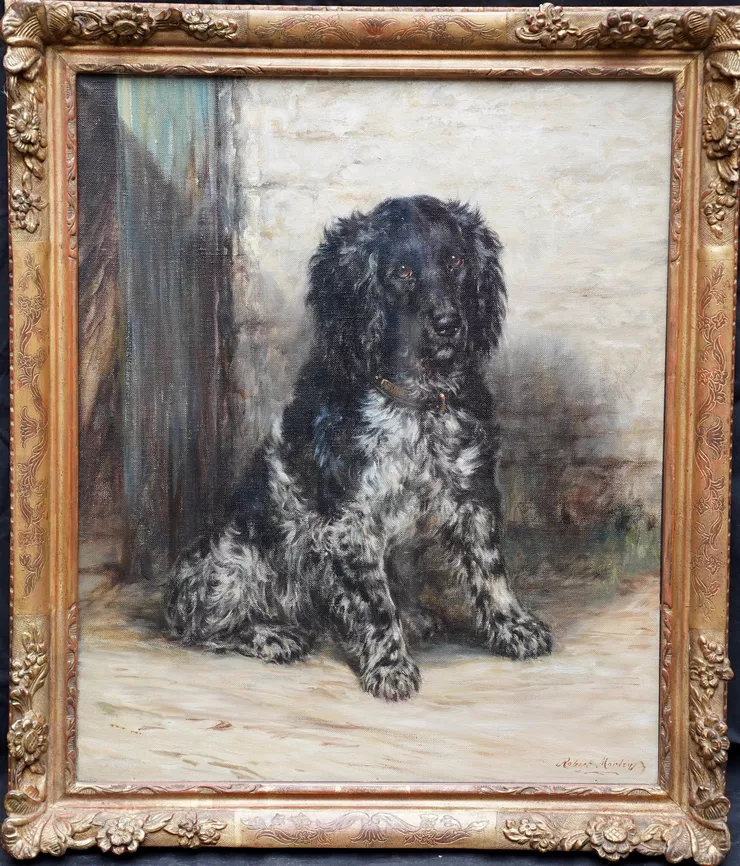 British Spaniel Dog Portrait by Robert Morley at Richard Taylor Fine Art