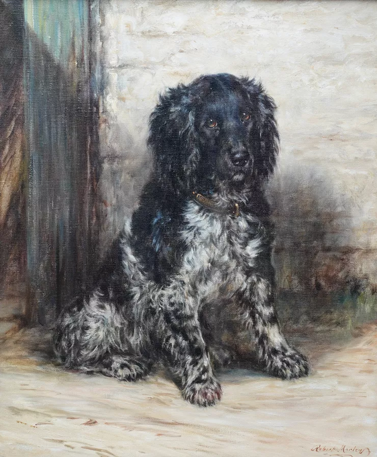 Edwardian Spaniel Dog Portrait by Robert Morley at Richard Taylor Fine Art