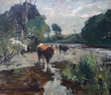 Cows in a Landscape - River Wharfe Yorkshire