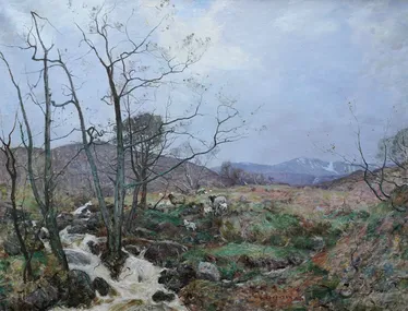 Highland Landscape