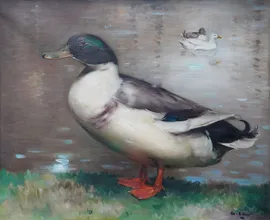 Scottish 1920's Duck Portrait by Andrew Law at Richard Taylor Fine Art