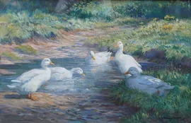 Scottish 1930's Ducks in a Pool by John Murray Thompson Richard Taylor Fine Art